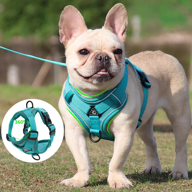 No Pull Dog Harness and Leash