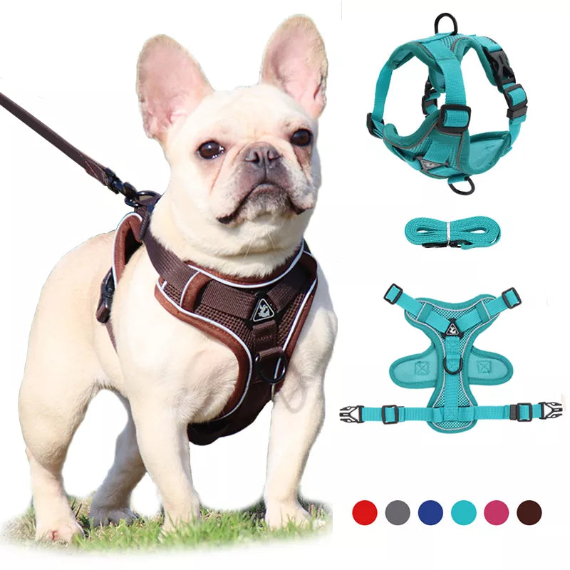 No Pull Dog Harness and Leash The Frenchie World